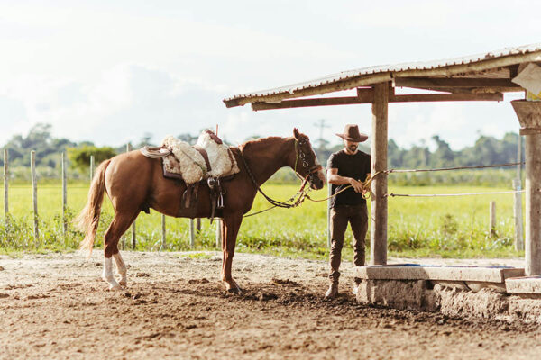 Person hitching their horse to a post in sunny outdoor environs.