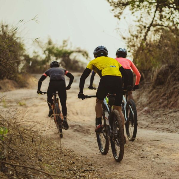 People mountain biking on dusty trail.